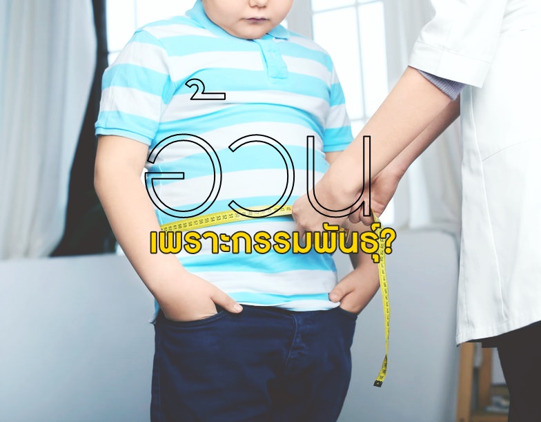 อ้วน เพราะกรรมพันธุ์? thaihealth