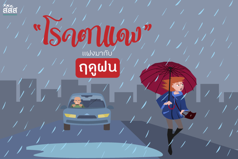 “โรคตาแดง” แฝงมากับฤดูฝน thaihealth