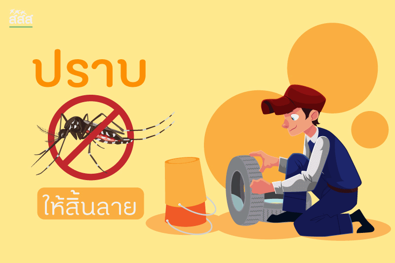 ปราบยุงให้สิ้นลาย thaihealth