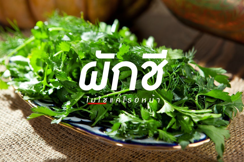 ผักชี ไม่ใช่แค่โรยหน้า thaihealth