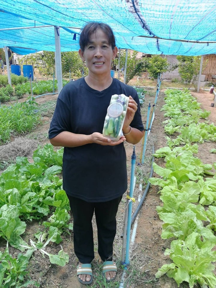 กลุ่มวิสาหกิจชุมชนแก้วกล้า ต.กลัดหลวง อ.ท่ายาง จ.เพชรบุรี  thaihealth