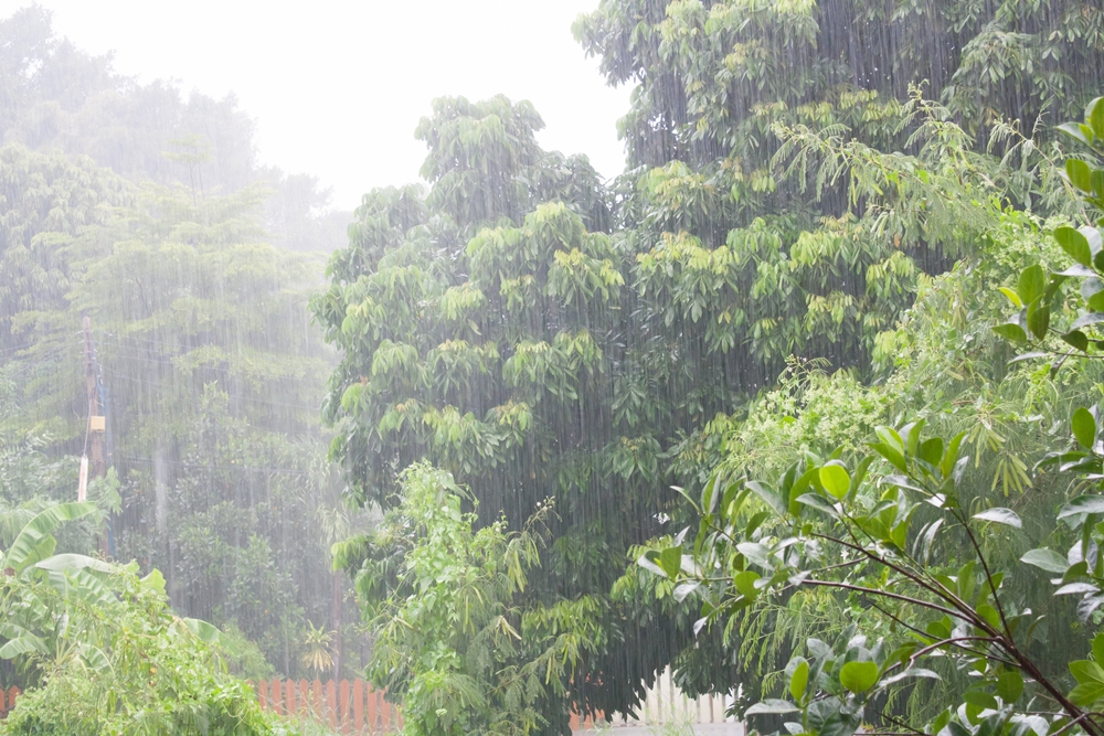 วันนี้ฝนตกหนักมาก กทม. ตกถึงร้อยละ 80 thaihealth