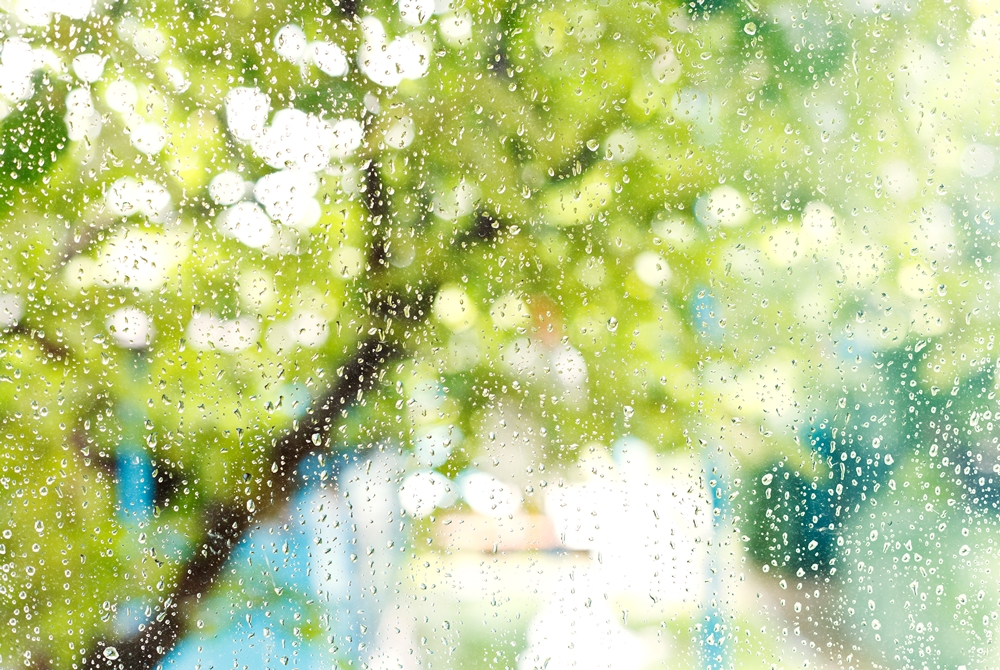 ฝนฟ้าคะนองทุกภาค thaihealth