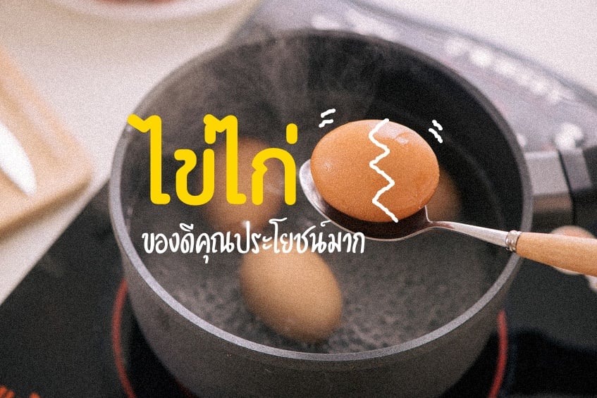 ไข่ไก่ ของดีคุณประโยชน์มาก thaihealth