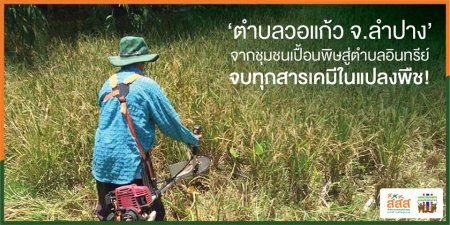 "ตำบลวอแก้ว จ.ลำปาง" จากชุมชนเปื้อนพิษสู่ตำบลอินทรีย์ ปัญหาการใช้สารเคมีในการเกษตร คือหนึ่งในความเคยชินที่อยู่คู่กับเกษตรกรไทยมาอย่างช้านาน ผลกระทบของสารเคมีดังกล่าว ไม่ได้ตกอยู่แค่กับผู้บริโภคเท่านั้น แต่ยังตกอยู่กับตัวผู้ปลูกเองด้วย
