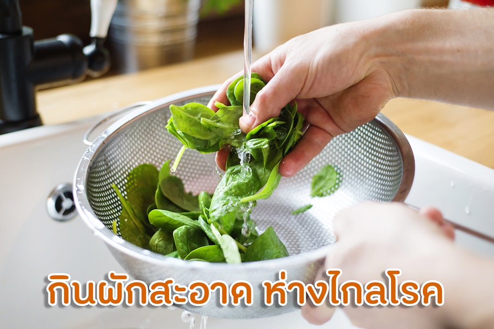 กินผักสะอาด ห่างไกลโรค thaihealth