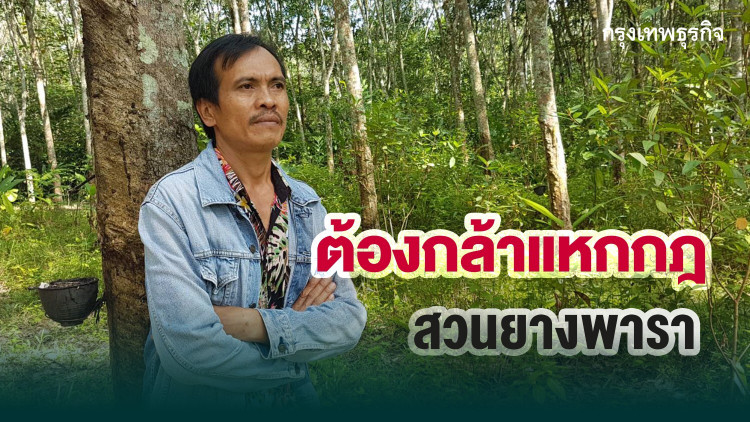 'พัทลุง'...เมืองสีเขียวเพื่อคนมีคุณภาพชีวิตที่ดี thaihealth