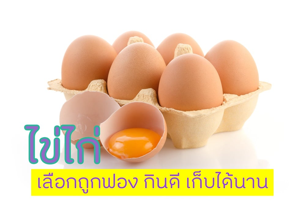  ไข่ไก่ เลือกกินถูกฟอง กินดีเก็บได้นาน thaihealth