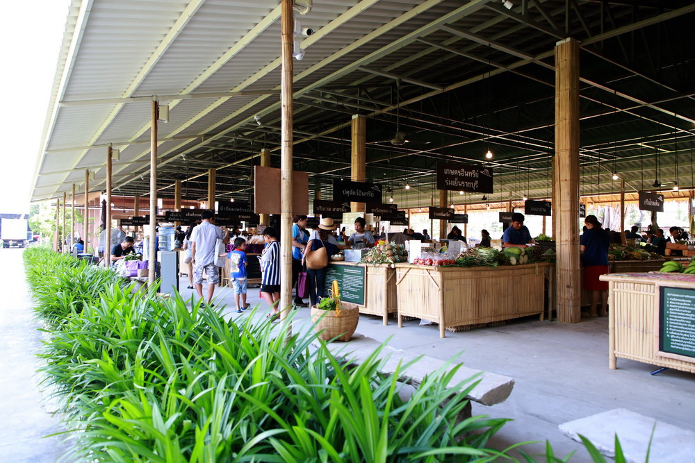 สวนสามพราน-มูลนิธิสังคมสุขใจ จัดงานครบรอบ 9  ปี ตลาดสุขใจ thaihealth