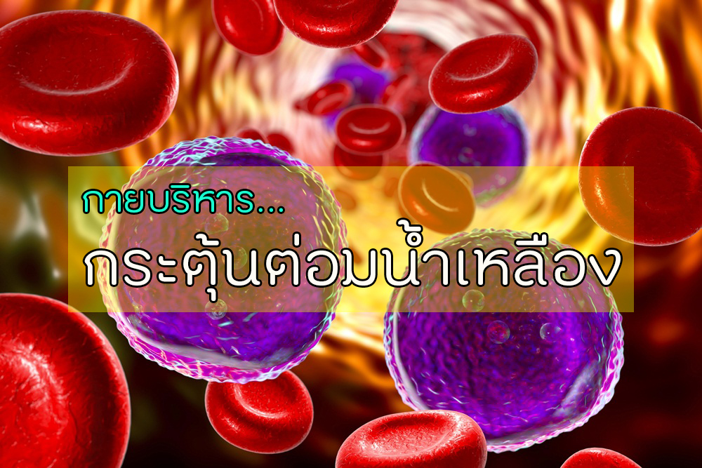 กายบริหารกระตุ้นต่อมน้ำเหลือง thaihealth