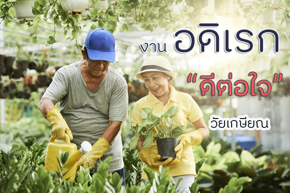 งานอดิเรก ดีต่อใจวัยเกษียณ thaihealth