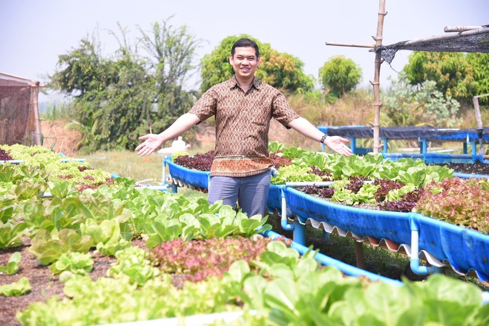 หนุนกินผักให้เพียงพอ ลดเสี่ยงโรค thaihealth