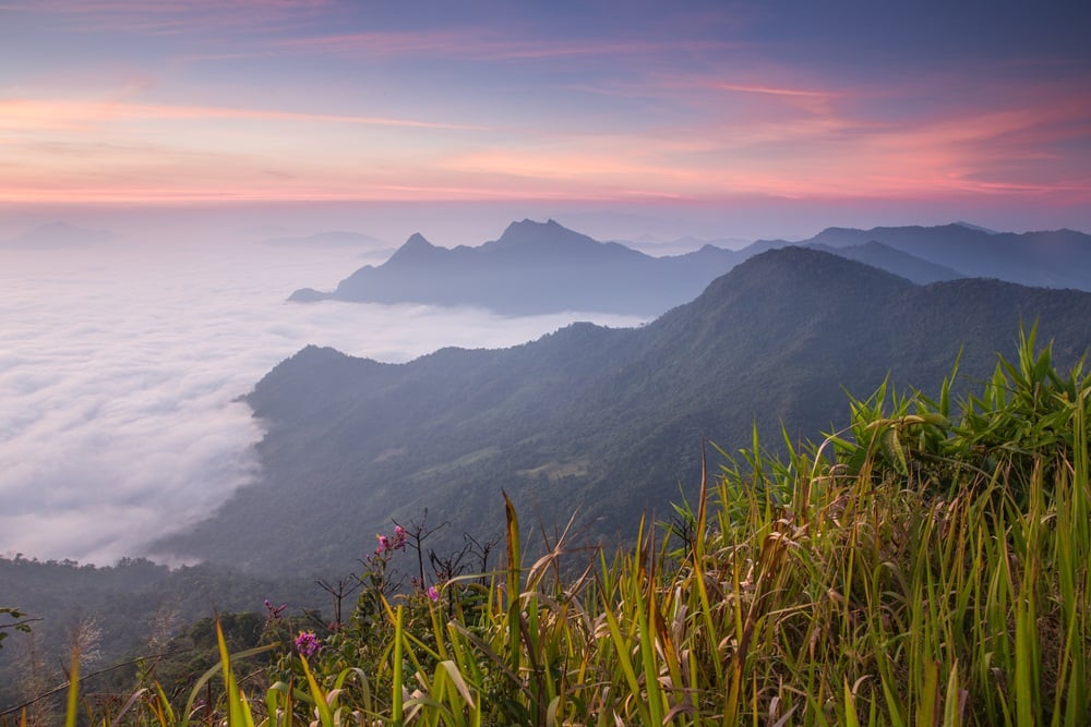 แหล่งท่องเที่ยวอุทยาน ฟื้นสมบูรณ์ช่วงโควิด-19 thaihealth