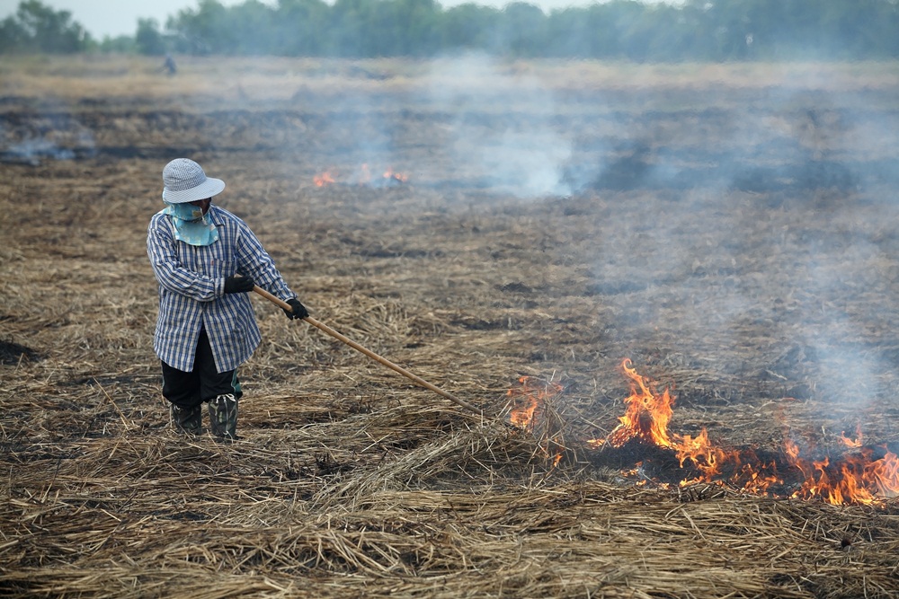 ชุมชนเมืองลอง คิดค้นเตาชีวมวลแก้ฝุ่น PM 2.5 thaihealth