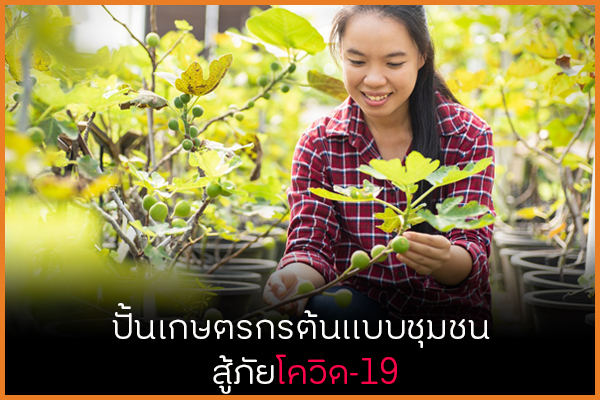 ปั้นเกษตรกรต้นแบบชุมชน สู้ภัยโควิด-19 thaihealth