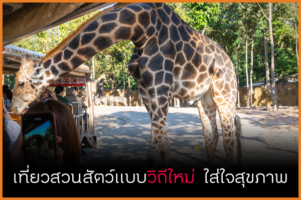 เที่ยวสวนสัตว์แบบวิถีใหม่ ใส่ใจสุขภาพ thaihealth