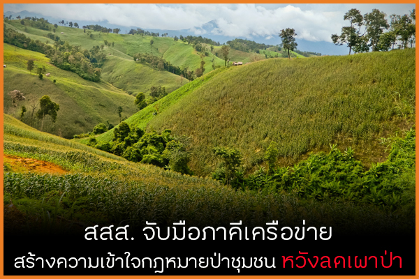 สสส. จับมือภาคีเครือข่าย สร้างความเข้าใจกฎหมายป่าชุมชน หวังลดเผาป่า  thaihealth