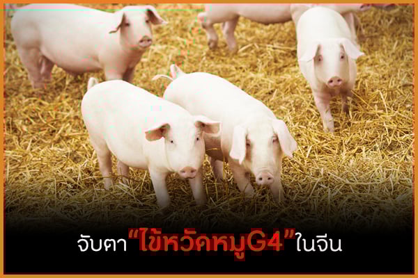 จับตา 