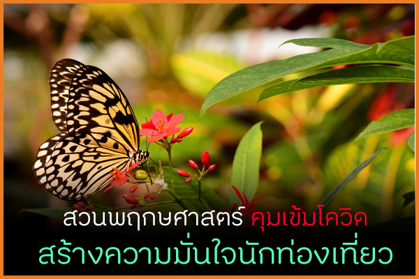 สวนพฤกษศาสตร์คุมเข้มโควิด สร้างความมั่นใจนักท่องเที่ยว thaihealth