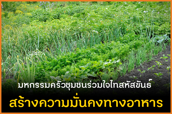 มหกรรมครัวชุมชนร่วมใจไทสหัสขันธ์ สร้างความมั่นคงทางอาหาร thaihealth