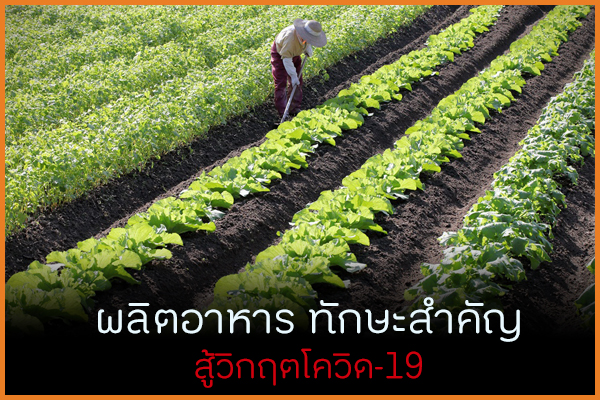 ผลิตอาหาร ทักษะสำคัญสู้วิกฤติ thaihealth