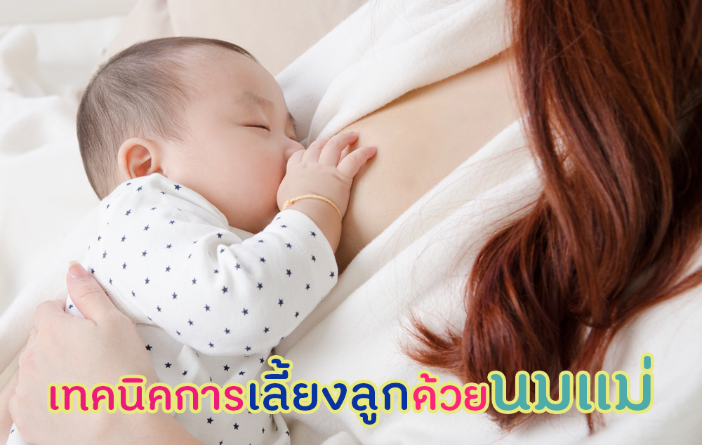 เทคนิคการเลี้ยงลูกด้วยนมเเม่ thaihealth