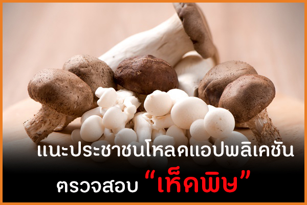 แนะประชาชนโหลดแอปพลิเคชันตรวจสอบ “เห็ดพิษ”  thaihealth