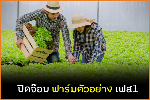 ปิดจ๊อบ ฟาร์มตัวอย่าง เฟส1  thaihealth