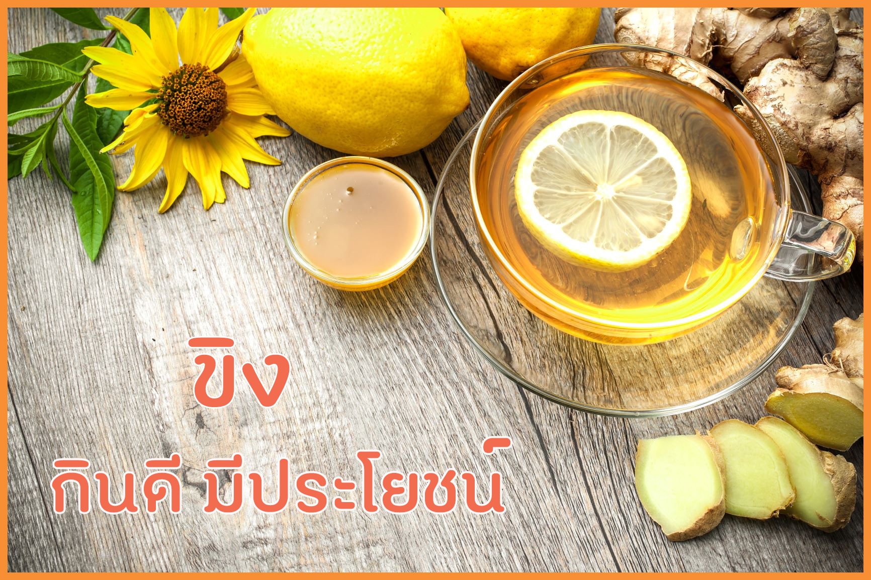ขิง กินดี มีประโยชน์ thaihealth