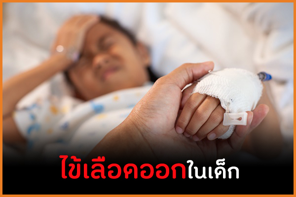 ไข้เลือดออกในเด็ก thaihealth
