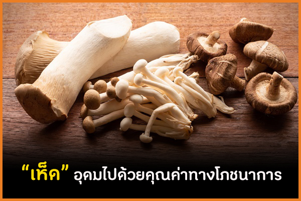 “เห็ด” อุดมไปด้วยคุณค่าทางโภชนาการ thaihealth