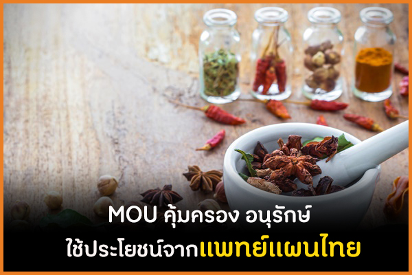 MOU คุ้มครอง อนุรักษ์ ใช้ประโยชน์จากแพทย์แผนไทย thaihealth