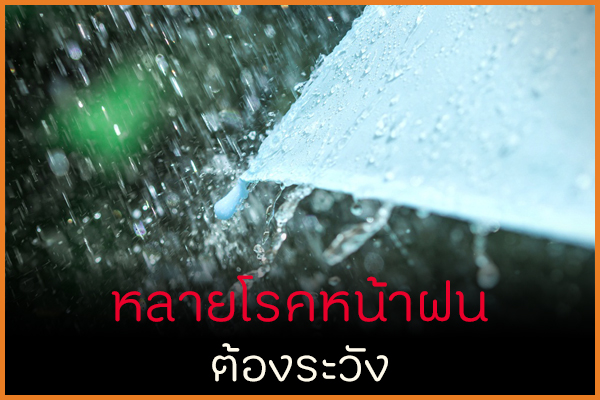 หลายโรคหน้าฝนต้องระวัง thaihealth