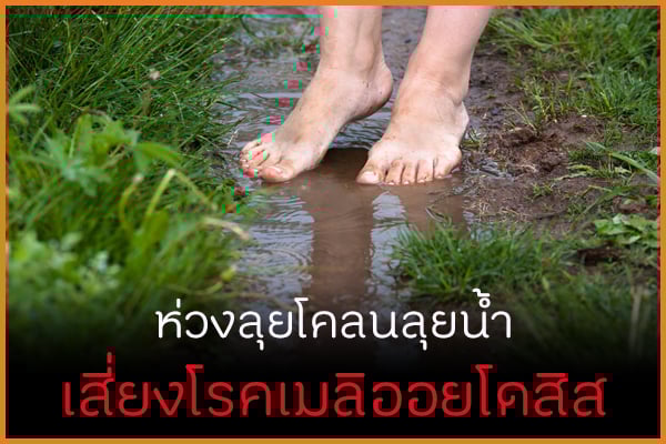 ห่วงลุยโคลนลุยน้ำ เสี่ยงโรคเมลิออยโดสิส thaihealth
