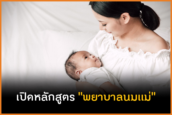 เปิดหลักสูตร 