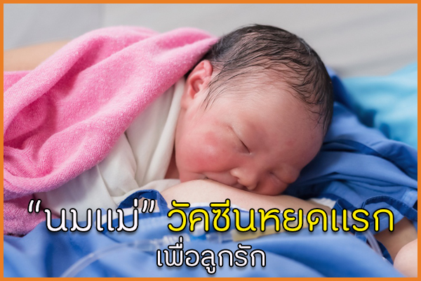 นมแม่ วัคซีนหยดแรกเพื่อลูกรัก thaihealth