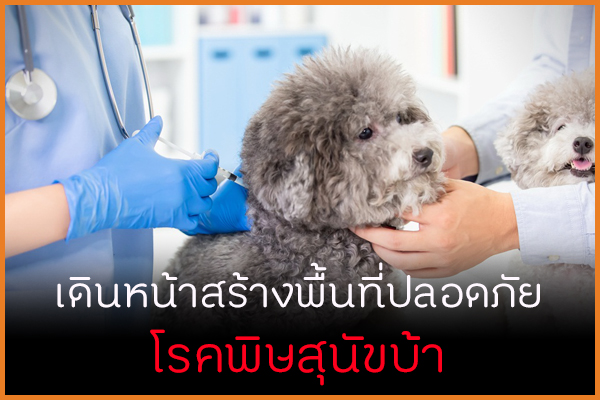เดินหน้าสร้างพื้นที่ปลอดภัย โรคพิษสุนัขบ้า thaihealth