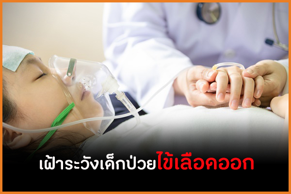 เฝ้าระวังเด็กป่วยไข้เลือดออก   thaihealth