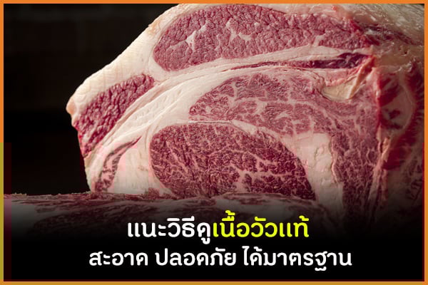 แนะวิธีดูเนื้อวัวเเท้ สะอาด ปลอดภัย ได้มาตรฐาน thaihealth
