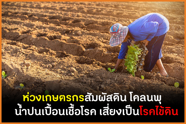 ห่วงเกษตรกรสัมผัสดิน โคลนพุ น้ำปนเปื้อนเชื้อโรค เสี่ยงเป็นโรคไข้ดิน thaihealth