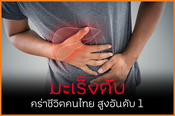 มะเร็งตับ คร่าชีวิตคนไทยสูงอันดับ 1 thaihealth