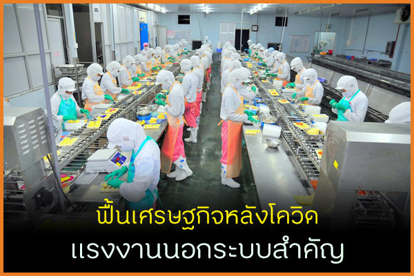 ฟื้นเศรษฐกิจหลังโควิด แรงงานนอกระบบสำคัญ thaihealth