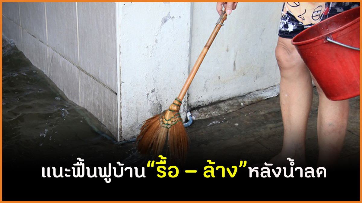 แนะฟื้นฟูบ้าน“รื้อ – ล้าง”หลังน้ำลด thaihealth