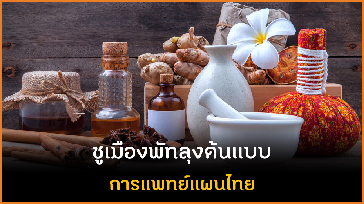 ชูเมืองพัทลุงต้นแบบ การแพทย์แผนไทย thaihealth