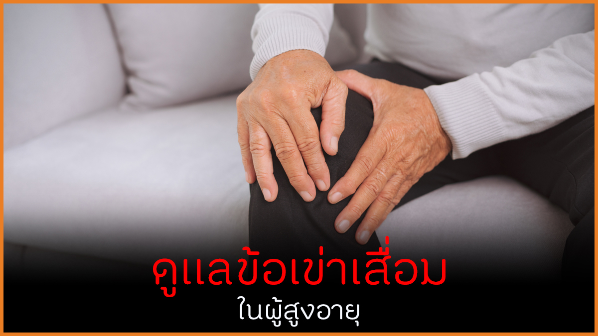 ดูแลข้อเข่าเสื่อม ในผู้สูงอายุ thaihealth