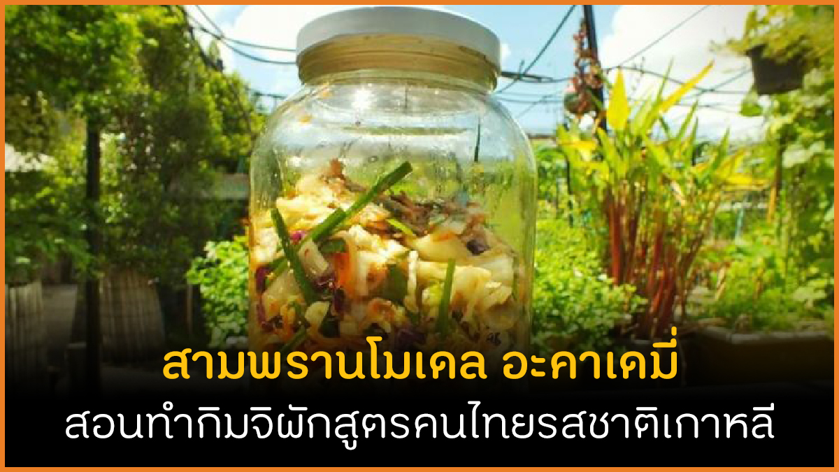 สามพรานโมเดล อะคาเดมี่ สอนทำกิมจิผักสูตรคนไทยรสชาติเกาหลี thaihealth