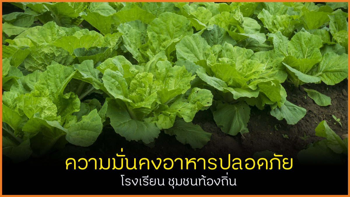ความมั่นคงอาหารปลอดภัย โรงเรียน ชุมชนท้องถิ่น thaihealth