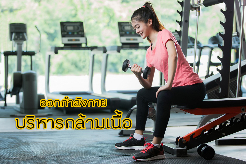 การออกกำลังกาย บริหารกล้ามเนื้อ thaihealth
