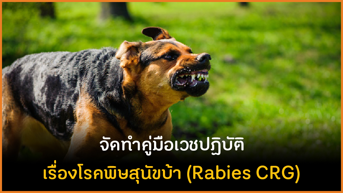 จัดทำคู่มือเวชปฏิบัติ เรื่องโรคพิษสุนัขบ้า (Rabies CRG) thaihealth