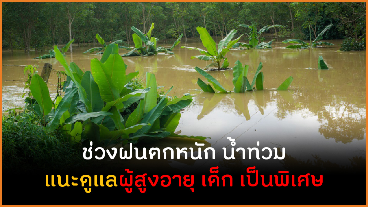 ช่วงฝนตกหนัก น้ำท่วม แนะดูแลผู้สูงอายุ เด็ก เป็นพิเศษ thaihealth
